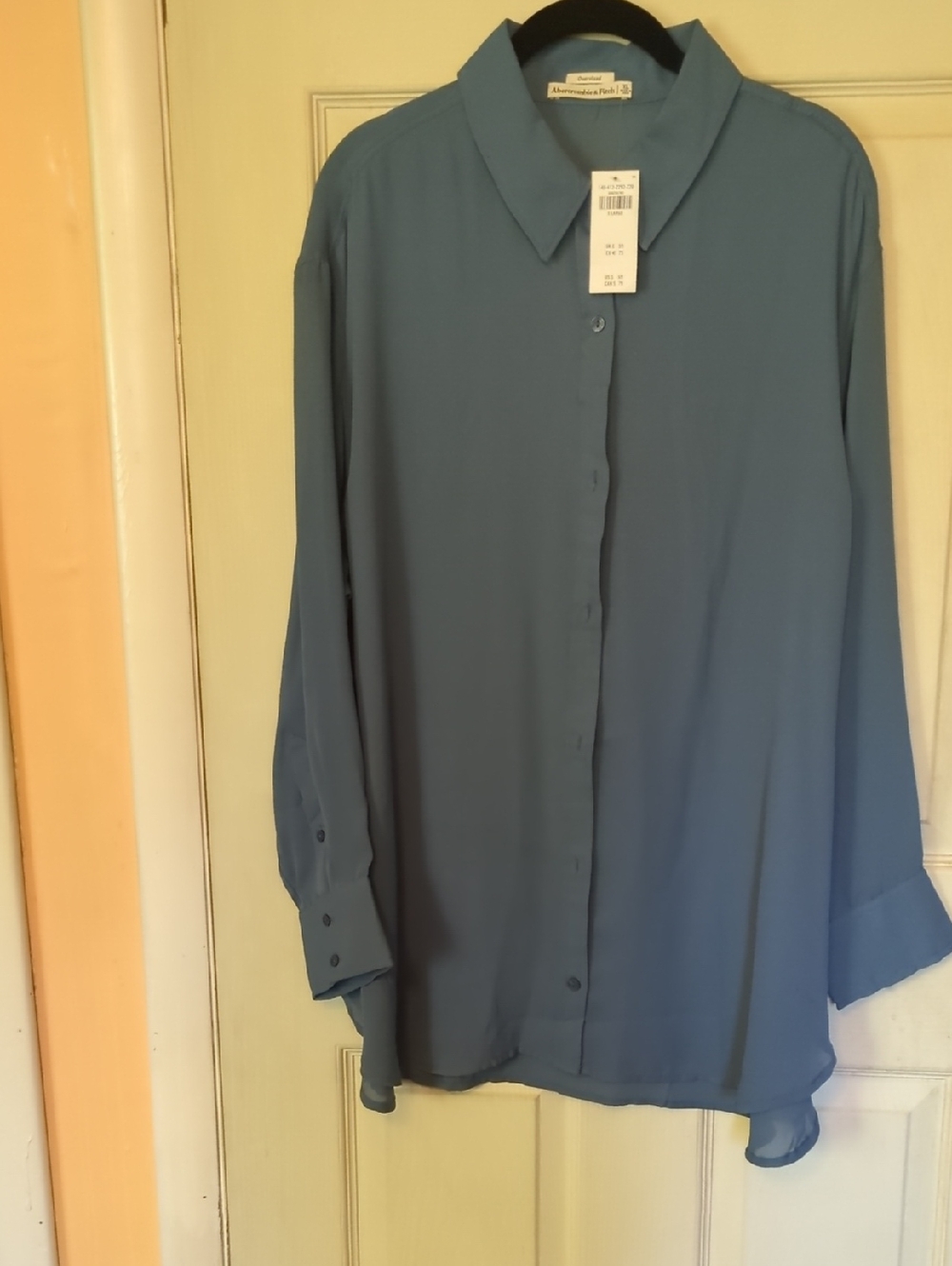 NWT Abercrombie Fitch XL Oversized Blue   Semi-sheer Button down Shirt